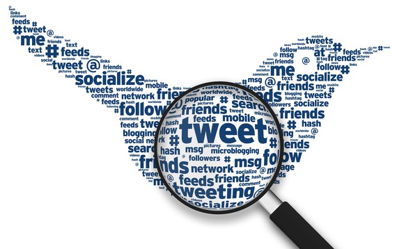 Symbolbild von Twitter-Vogel und einer Lupe