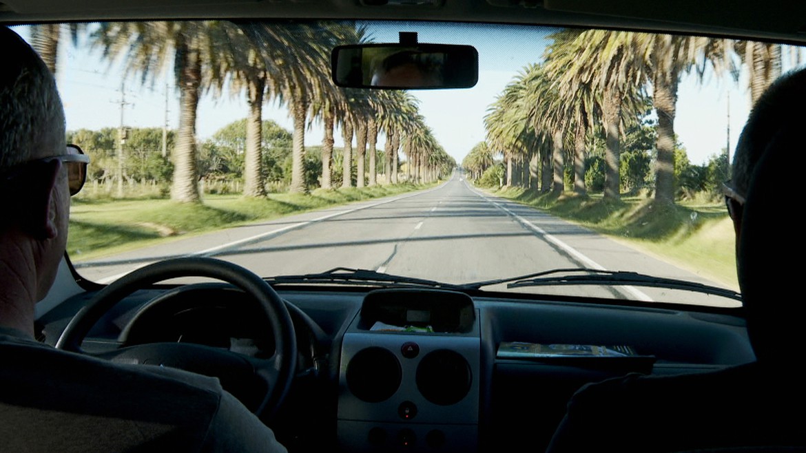 Zwei Männer fahren mit dem Auto durch eine Palmenallee in Uruguay.