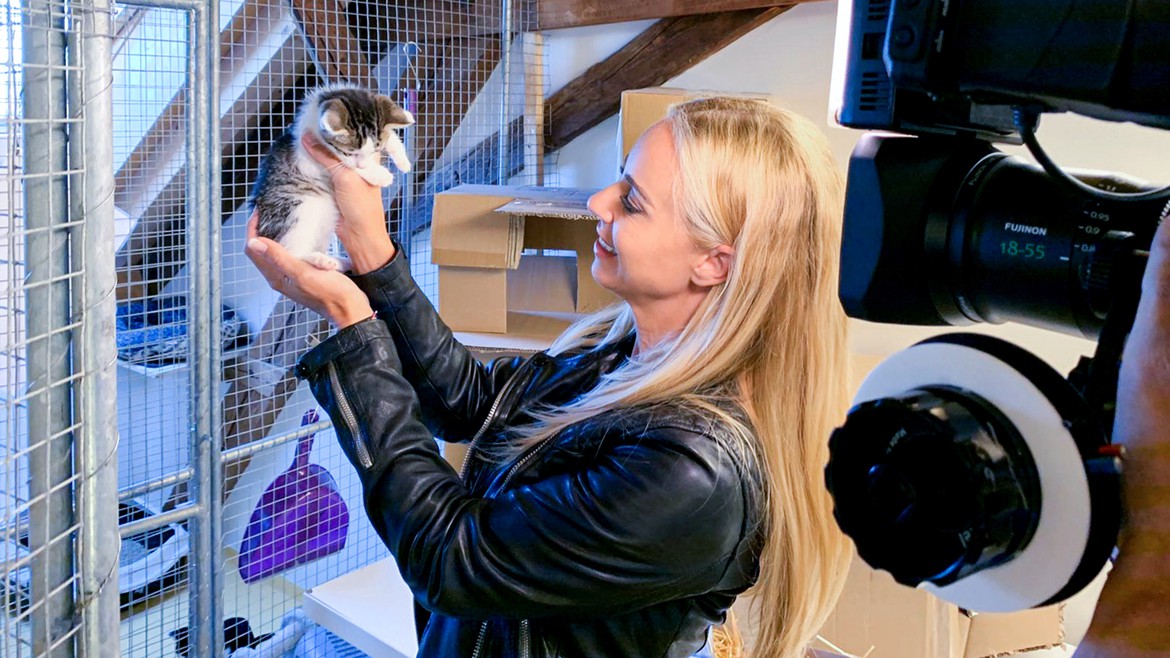 Nicole Berchtold besucht ein Katzenheim und erfährt viele rührende Geschichten